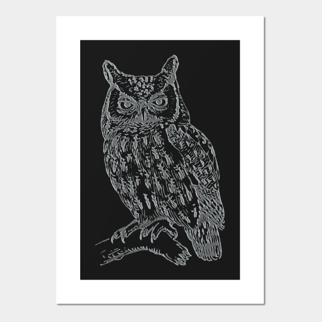 owl